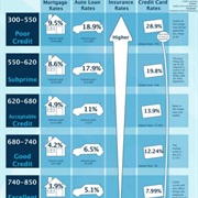 Check Your Credit Score