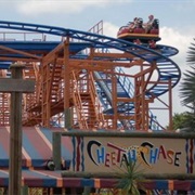 Sand Serpent (Busch Gardens Tampa Bay, USA)