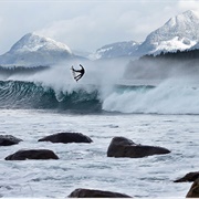Winter Surfing in Tofino
