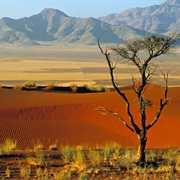 Namib Desert (Namibia)