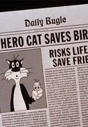 Catty Cornered (1953)