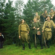 Stalin Line Historical and Cultural Complex With Special Events, Belarus