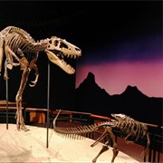 Burpee Museum of Natural History (Rockford, IL)
