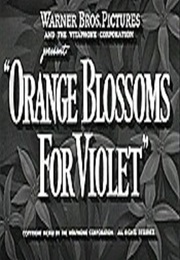 Orange Blossoms for Violet