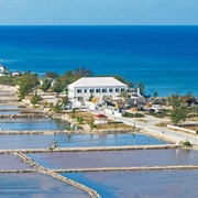 Salt Cay (Turks and Caicos Islands, UK)