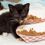 Make Sure You're Eating Enough