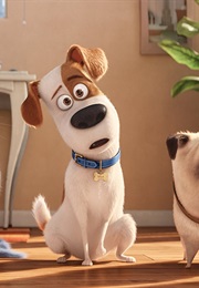 The Secret Life of Pets. (2016)