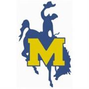 McNeese State Cowboys