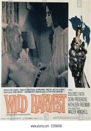 Wild Harvest (1962)