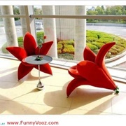 Lily Chairs