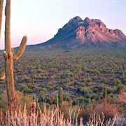 Ironwood Forest National Monument
