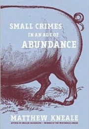 Small Crimes in an Age of Abundance (Matthew Kneale)