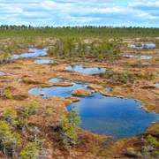 Endla Nature Reserve, Estonia