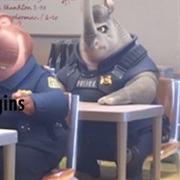 Officer Rhinowitz