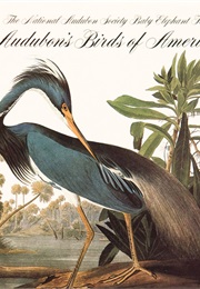 Works of John James Audubon (John James Audubon)
