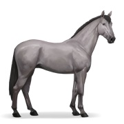 Irish Hunter - Mouse Grey