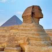 Admire the Great Sphinx