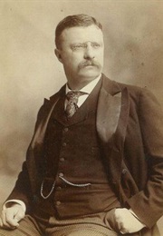 Theodore Roosevelt and His America (Milton Meltzer)