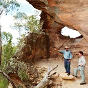 Pilliga National Park (NSW)