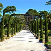 Sa Torre Cega, Mallorca