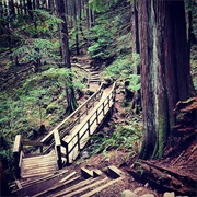 Hike the Baden-Powell Trail