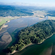 Nestucca Bay National Wildlife Refuge