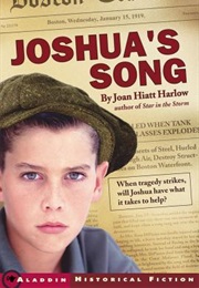 Joshua's Song (Joan Haitt Harlow)