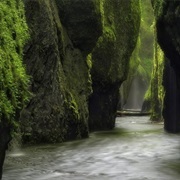 Oneonta Gorge, Oregon