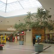 JOSLIN's DEPARTMENT STORE