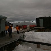 Vernadsky Base, Antarctica