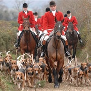 Foxhunting