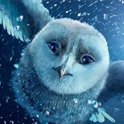 Flight of the Silver Bird