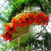 The Palm House, Vienna