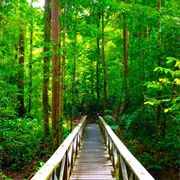 Lambir Hills National Park