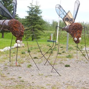 Giant Mosquitos, Delta Junction, Alaska