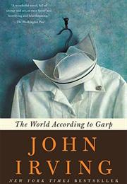 THE WORLD ACCORDING TO GARP (John Irving)