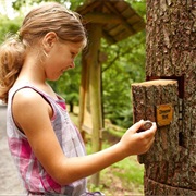 Junior Adventure Trail