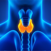 Hypothyroidism