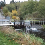 Minter Creek Fish Hatchery (Key Peninsula)