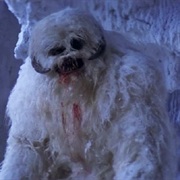 Wampa