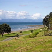 Tapapakanga Regional Park Walk - Easy (2 Hours)