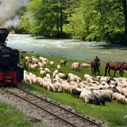 Viseu De Sus, Romania