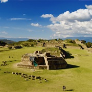 Monte Alban