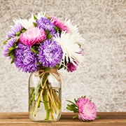 Give Someone Flowers