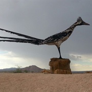 Giant Roadrunner, Las Cruces