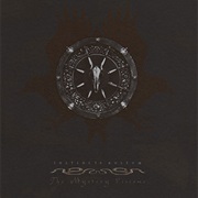 Instincts- The Mystery Visions