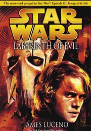 Labyrinth of Evil (James Luceno)