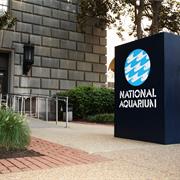 National Aquarium