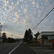 Green, Oregon