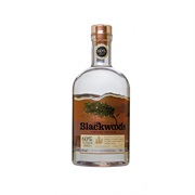 Blackwoods 40% Vintage Dry Gin